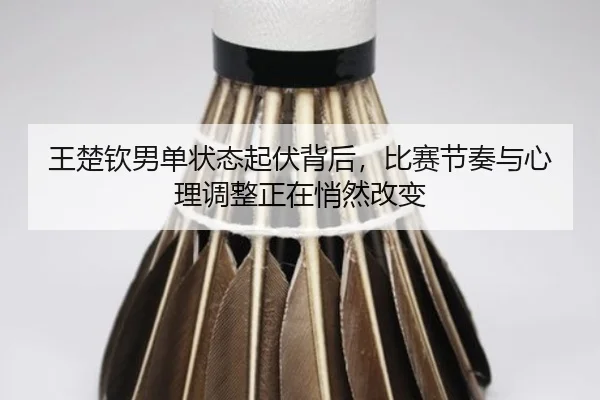 img_1781136679832_7_1_856.jpg